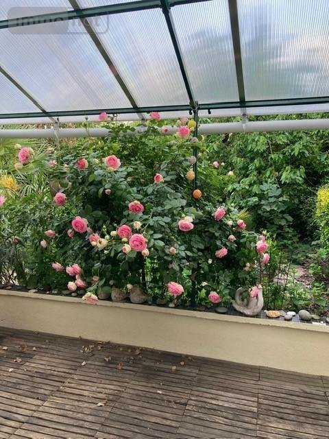 Maison a vendre Cholet 49300 Maine-et-Loire 148 m2 6 pièces 313200 euros