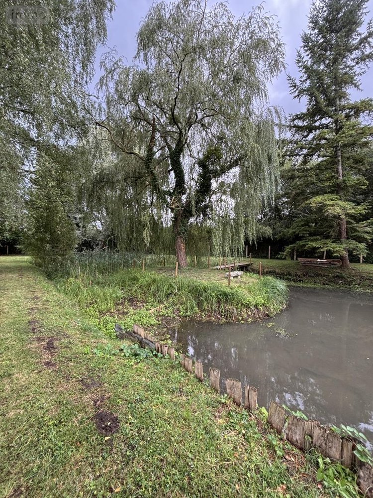 Terrains de loisirs bois etangs a vendre Le Grand-Lucé 72150 Sarthe 3221 m2  37000 euros