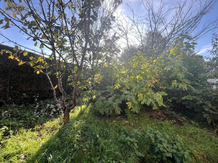 Appartement a vendre Besançon 25000 Doubs 20 m2 1 pièce 66000 euros