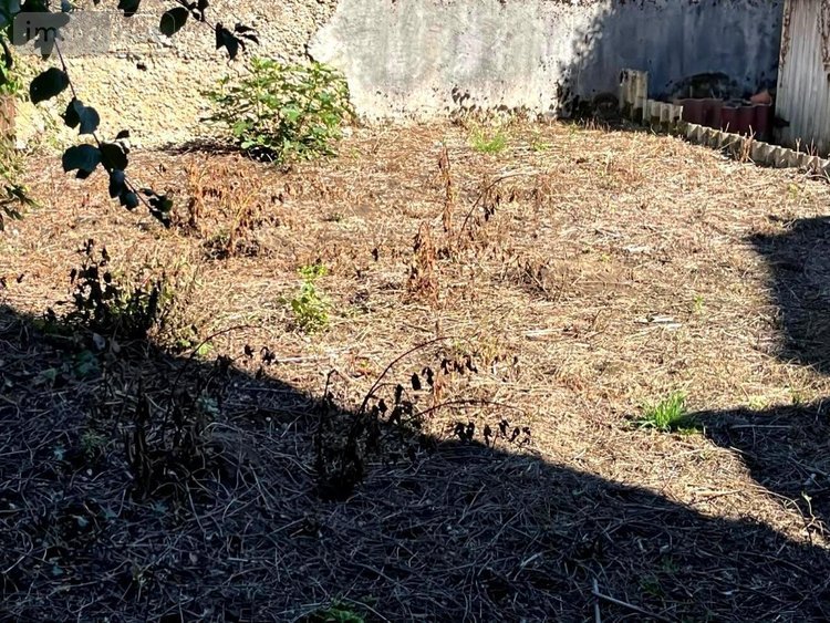 Maison a vendre Meximieux 01800 Ain 78 m2 3 pièces 183000 euros