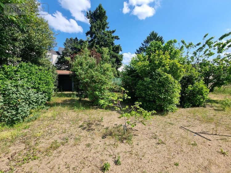 Maison a vendre Châteauneuf-sur-Loire 45110 Loiret 65 m2 3 pièces 134620 euros