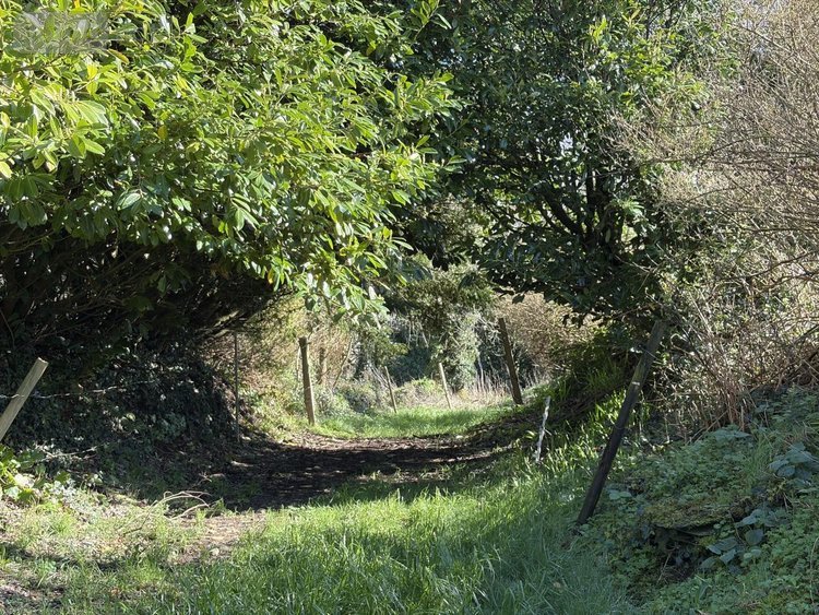 Maison a vendre Plounéour-Ménez 29410 Finistère 100 m2 5 pièces 279310 euros