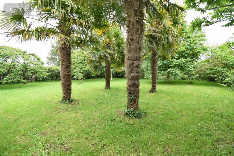 Maison a vendre Saint-Augustin-des-Bois 49170 Maine-et-Loire 175 m2 7 pièces 372040 euros