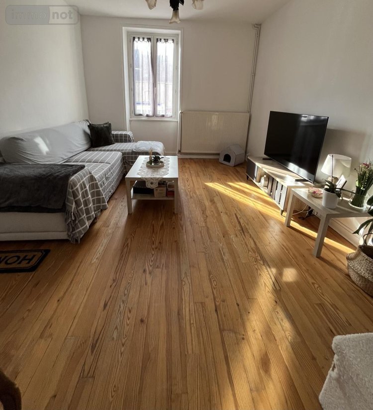 Viager immeuble de rapport Dole 39100 Jura 172 m2  50000 euros