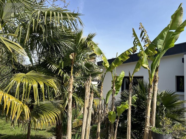 Maison a vendre Gouesnach 29950 Finistère 116 m2 6 pièces 479000 euros