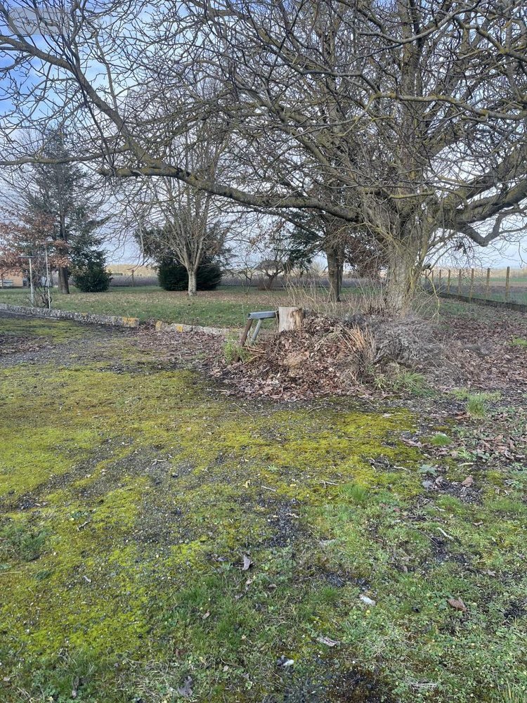 Maison a vendre Theneuil 37220 Indre-et-Loire 110 m2 6 pièces 196100 euros