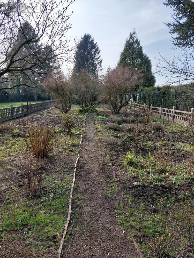 Viager maison Auchel 62260 Pas-de-Calais 98 m2 5 pièces 40000 euros