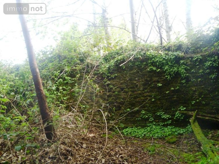 Maison a vendre Ploërdut 56160 Morbihan 100 m2 2 pièces 49550 euros