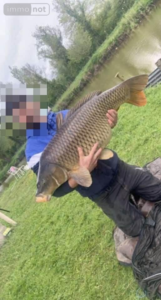 Terrains de loisirs bois etangs a vendre Laon 02000 Aisne 4901 m2  49000 euros