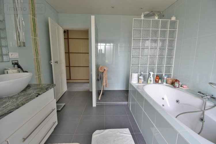 Maison a vendre Vallons de l'Erdre 44540 Loire-Atlantique 256 m2 8 pièces 517000 euros