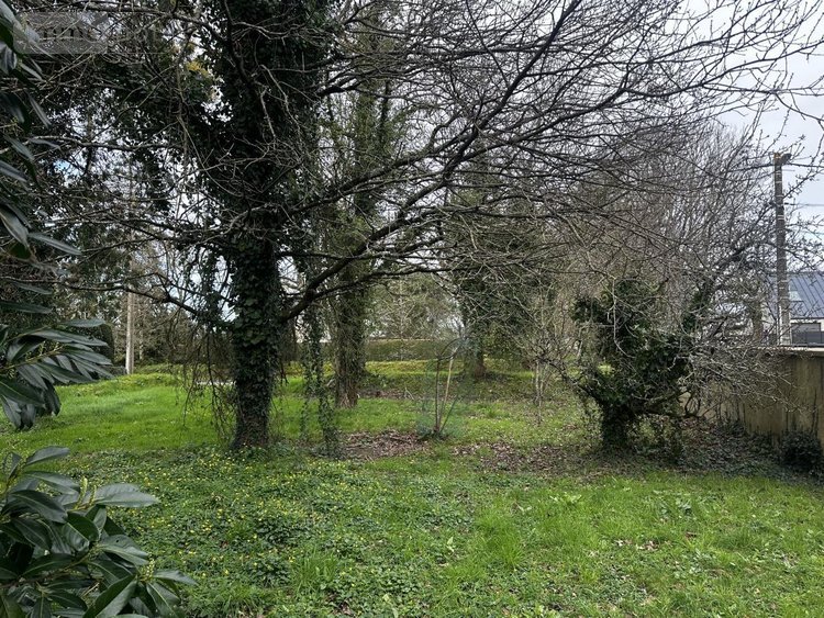 Maison a vendre Surzur 56450 Morbihan 60 m2 3 pièces 260979 euros