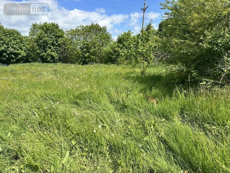 Maison a vendre Saint-Mary-le-Plain 15500 Cantal 249 m2  201400 euros