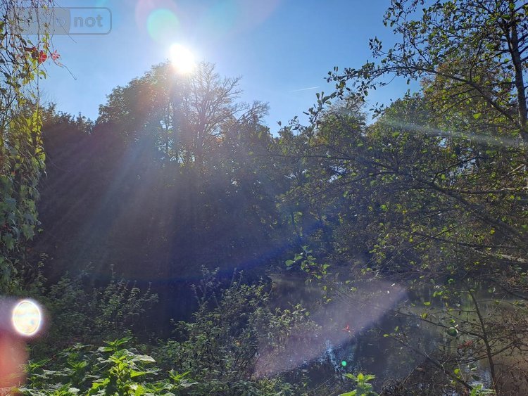 Maison a vendre Rebergues 62850 Pas-de-Calais 394 m2 12 pièces 581660 euros