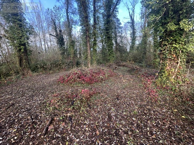 Terrain a batir a vendre Flines-lez-Raches 59148 Nord 1500 m2  115280 euros