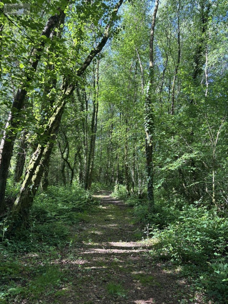 Terrains de loisirs bois etangs a vendre Noues de Sienne 14380 Calvados 185705 m2  399000 euros