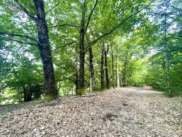 Maison a vendre Gabriac 48110 Lozère 235 m2 8 pièces 450000 euros