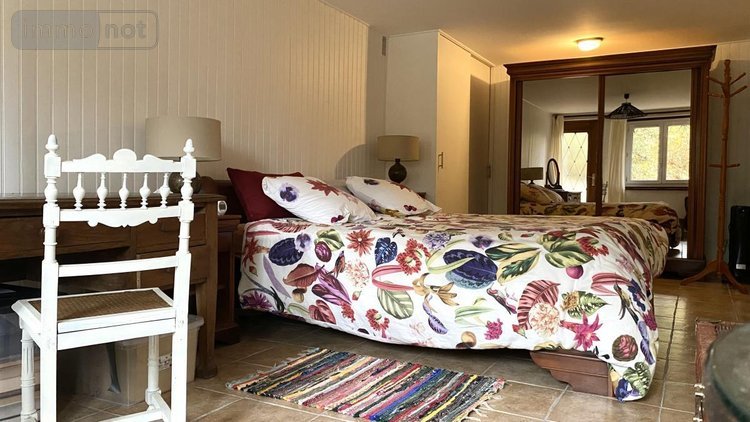 Maison a vendre Montanges 01200 Ain 217 m2  395000 euros