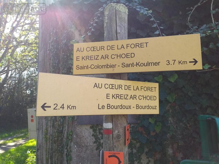 Maison a vendre Sarzeau 56370 Morbihan 170 m2  181622 euros