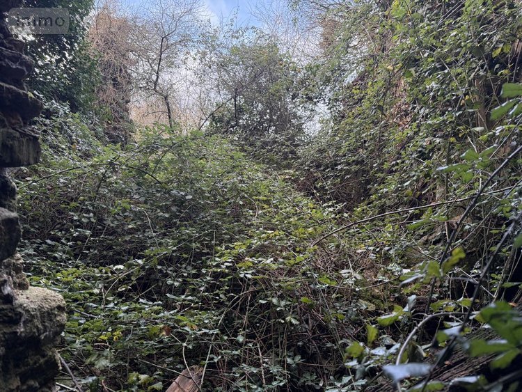 Maison a vendre Le Hézo 56450 Morbihan 200 m2  207900 euros