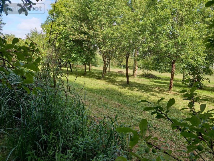 Terrains de loisirs bois etangs a vendre Parçay-sur-Vienne 37220 Indre-et-Loire 7760 m2  23600 euros