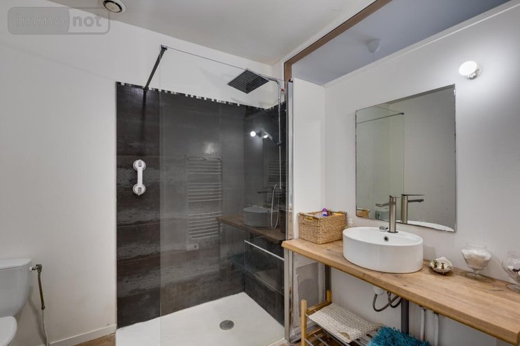 Immeuble a vendre Pinsaguel 31120 Haute-Garonne 286 m2  504000 euros