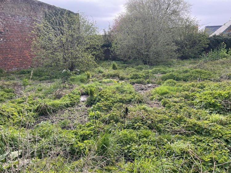 Divers a vendre Beauvois-en-Cambrésis 59157 Nord 107 m2  74800 euros