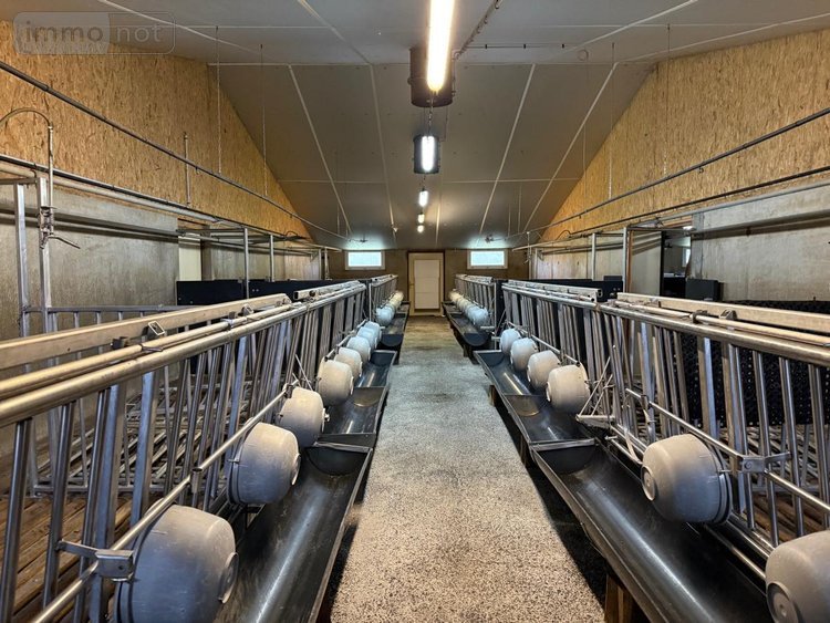 Divers a vendre Chérencé-le-Héron 50800 Manche 640 m2  127380 euros