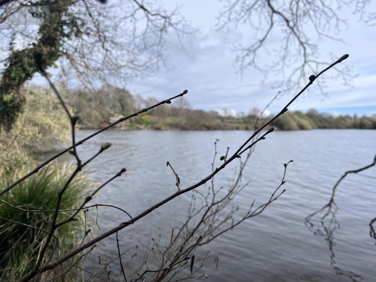 Maison a vendre Theix-Noyalo 56450 Morbihan 150 m2 6 pièces 652050 euros