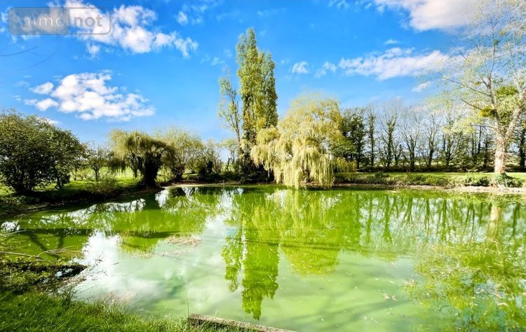 Maison a vendre Nouans 72260 Sarthe 271 m2 9 pièces 299900 euros