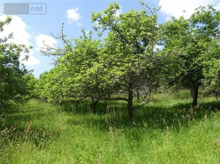 Maison a vendre Gouesnach 29950 Finistère 154 m2 7 pièces 573450 euros