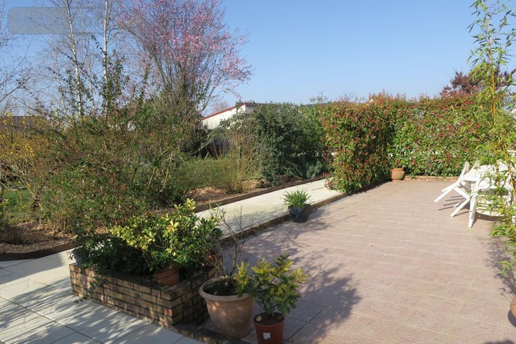 Viager maison Saint-Doulchard 18230 Cher 120 m2 5 pièces 75000 euros