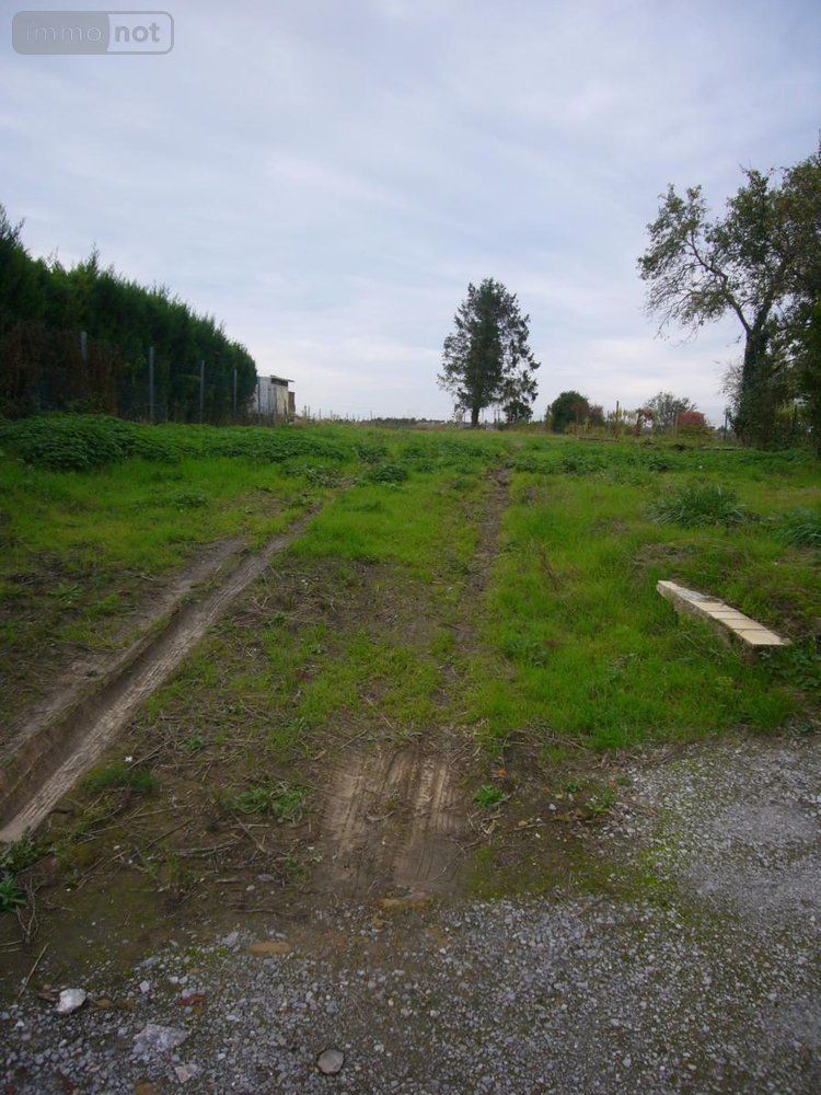 Location maison Cantaing-sur-Escaut 59267 Nord 55 m2  600 euros