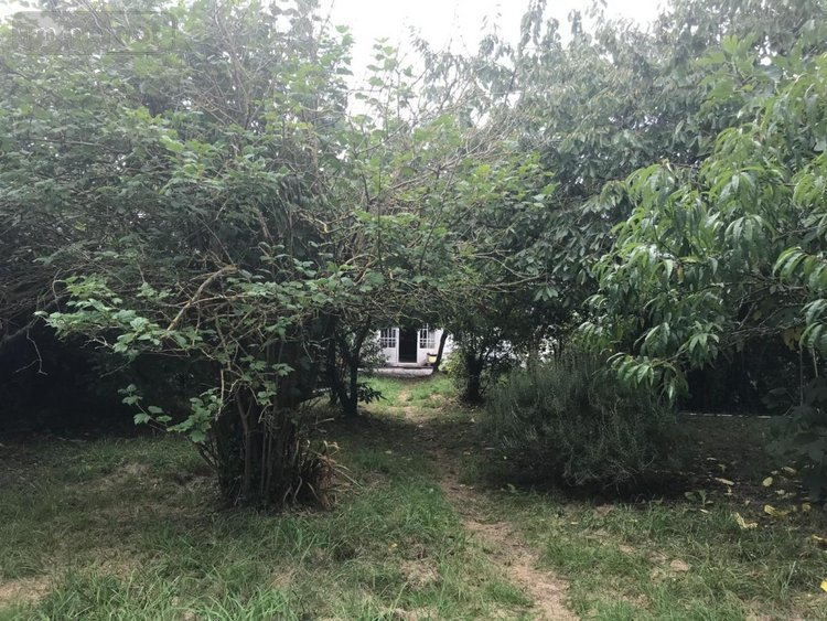 Maison a vendre Plouhinec 56680 Morbihan 120 m2 5 pièces 327600 euros