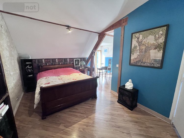 Maison a vendre Châtillon-sur-Cher 41130 Loir-et-Cher 385 m2 14 pièces 420000 euros