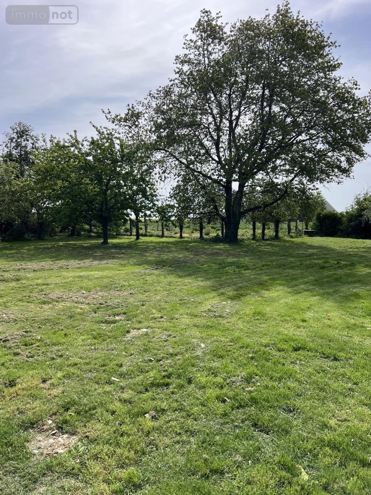 Maison a vendre Binas 41240 Loir-et-Cher 176 m2 7 pièces 212000 euros