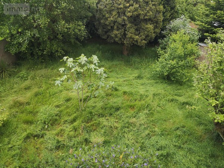 Maison a vendre Plouha 22580 Côtes-d'Armor 121 m2  292950 euros