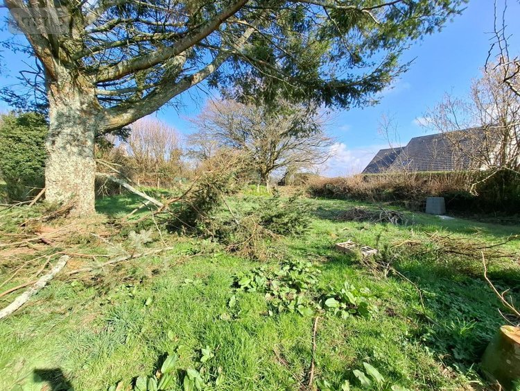 Maison a vendre Flottemanville-Hague 50690 Manche 75 m2 4 pièces 183400 euros