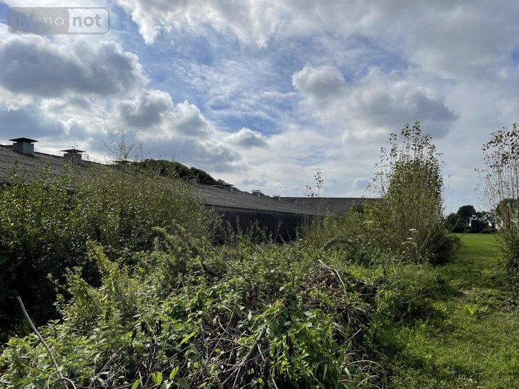 Divers a vendre Plumieux 22210 Côtes-d'Armor 1300 m2  28000 euros