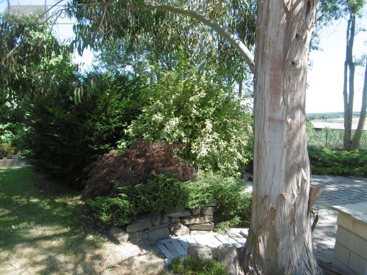 Maison a vendre Saint-Pierre-Tarentaine 14350 Calvados 147 m2 7 pièces 422000 euros