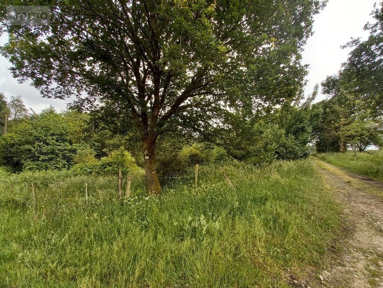 Maison a vendre Languidic 56440 Morbihan 60 m2 2 pièces 193100 euros