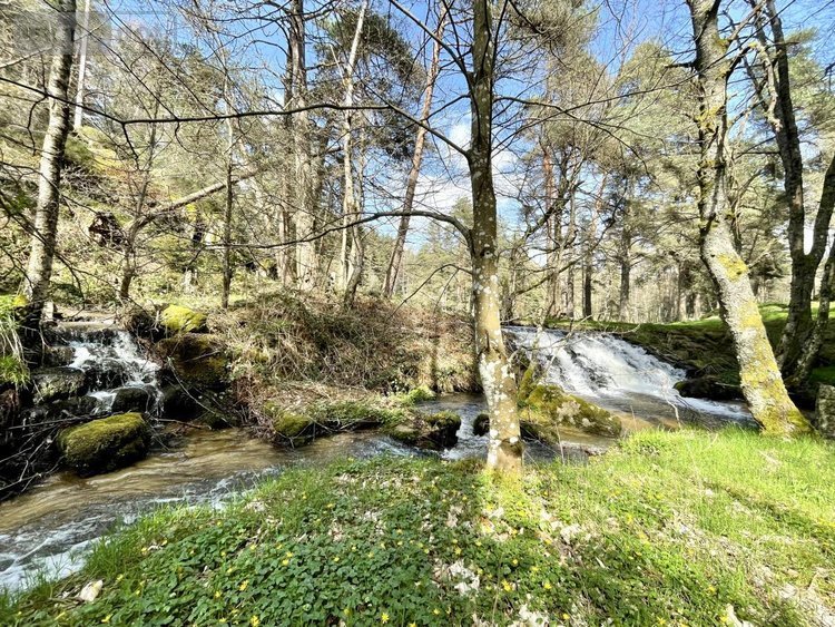 Maison a vendre Saint-Just 15320 Cantal 191 m2 7 pièces 269000 euros