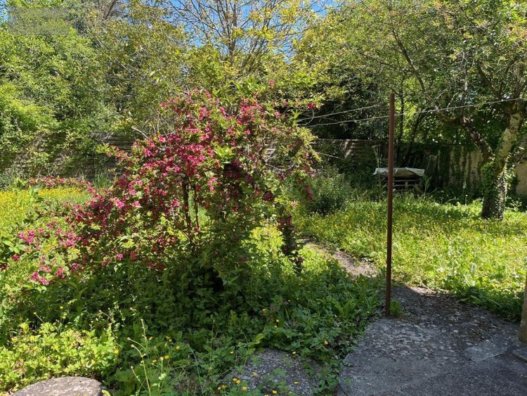 Maison a vendre Loyettes 01360 Ain 75 m2 3 pièces 250000 euros