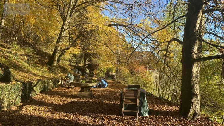 Maison a vendre Montanges 01200 Ain 217 m2  395000 euros