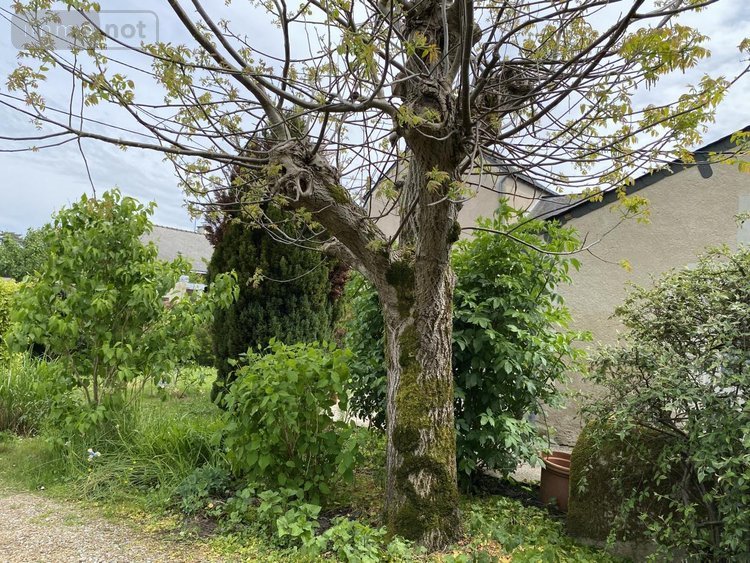 Maison a vendre Cheffes 49125 Maine-et-Loire 80 m2 4 pièces 183310 euros