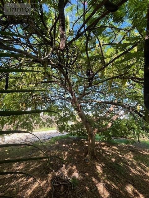 Maison a vendre Le Vauclin 97280 Martinique 92 m2  440000 euros
