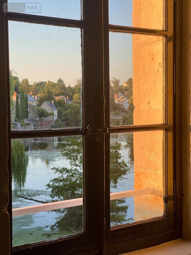 Maison a vendre Loir en Vallée 72340 Sarthe 533 m2 17 pièces 650000 euros