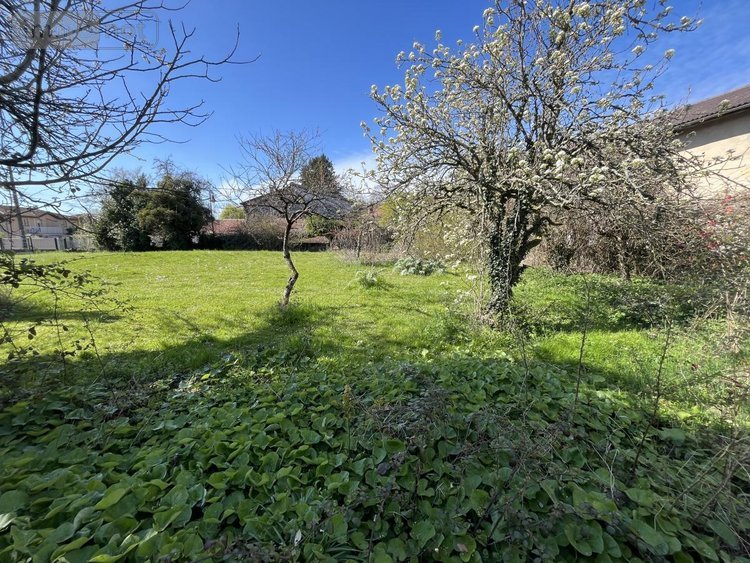 Terrain a batir a vendre Châtillon-la-Palud 01320 Ain 813 m2  112000 euros