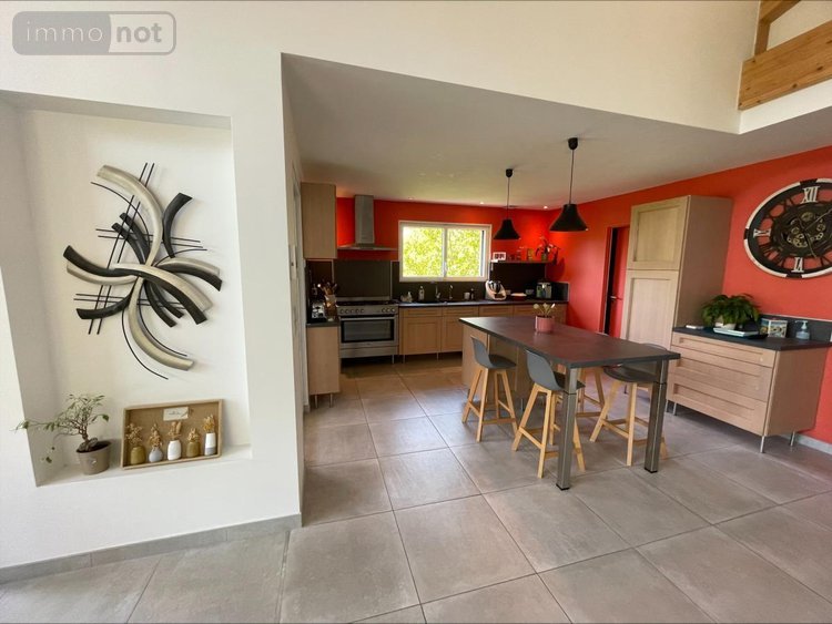 Maison a vendre Ceyzériat 01250 Ain 165 m2  475000 euros