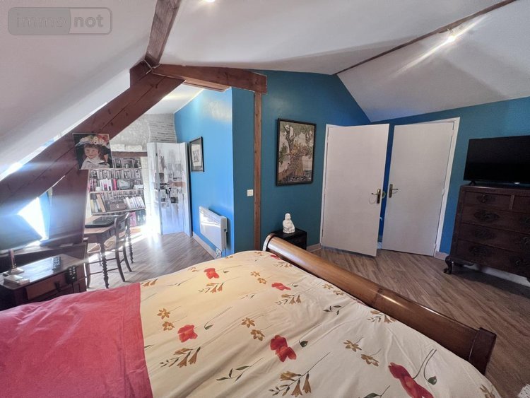 Maison a vendre Châtillon-sur-Cher 41130 Loir-et-Cher 385 m2 14 pièces 420000 euros