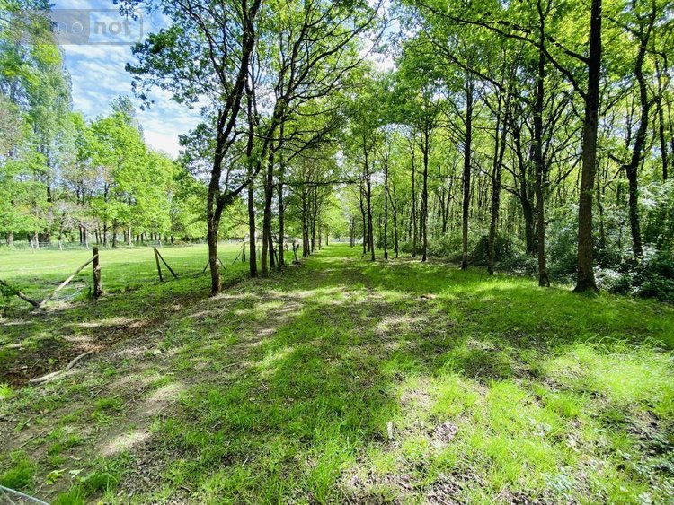 Maison a vendre La Chevrolière 44118 Loire-Atlantique 156 m2  351570 euros